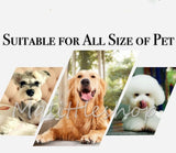 Electric Pet Nail Grinder Nail Buffer USB Charging Low Noise Painless Dog Nail Trimmer