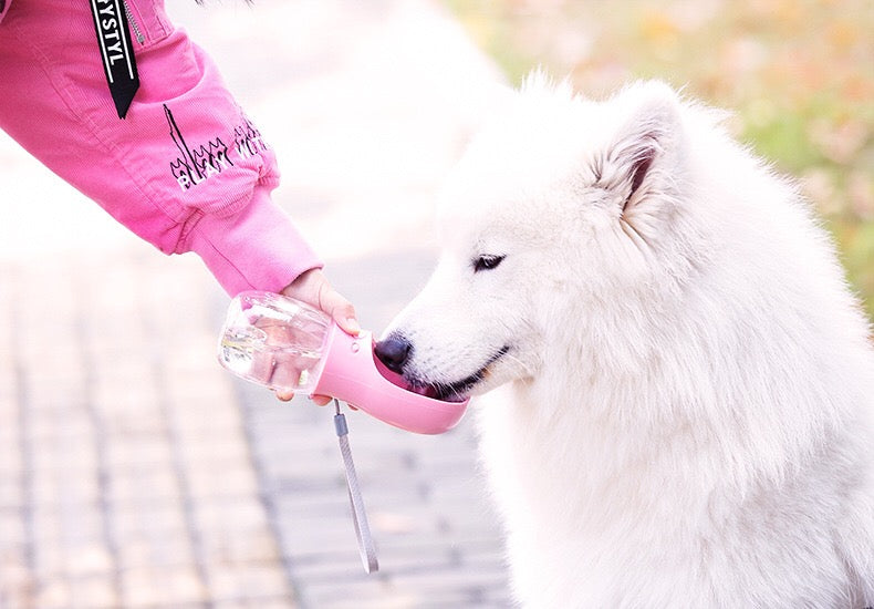 Outdoor water Portable Pet Water Bottle Pets Travel Drinking Bottle