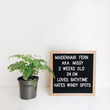 Letter Board Display Message Board Home Deco