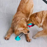Dog Pull Rope Stick On Floor Interactive Dog Toy Suction Teething Toy Dog Chew Toy