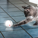 Auto Pet Toy Chase Toy Flash Ball Toy