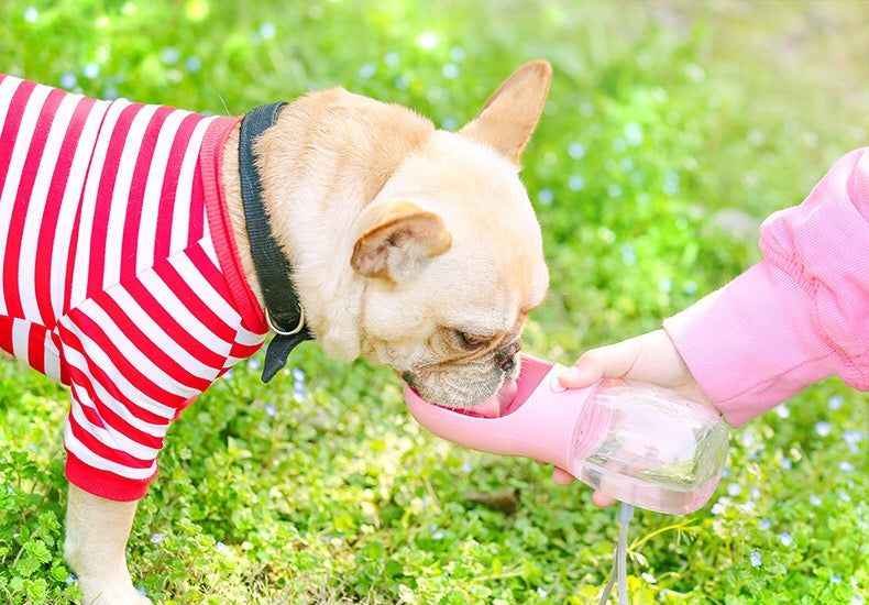 Outdoor water Portable Pet Water Bottle Pets Travel Drinking Bottle