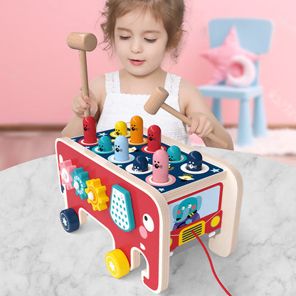 Wooden Hammer Toy Wooden Montessori Toy