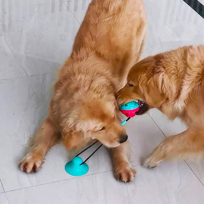 Dog Pull Rope Stick On Floor Interactive Dog Toy Suction Teething Toy Dog Chew Toy