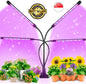 [Local Seller]4 Heads Grow Light Tube for Indoor Plant USB 80 LED Red Blue Full Spectrum Sunlike Light