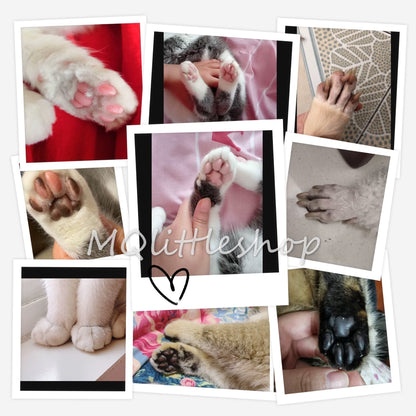 Dog Cat Paw ears around eyes paw pad shaver professional pet grooming