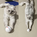 Auto Pet Toy Chase Toy Flash Ball Toy